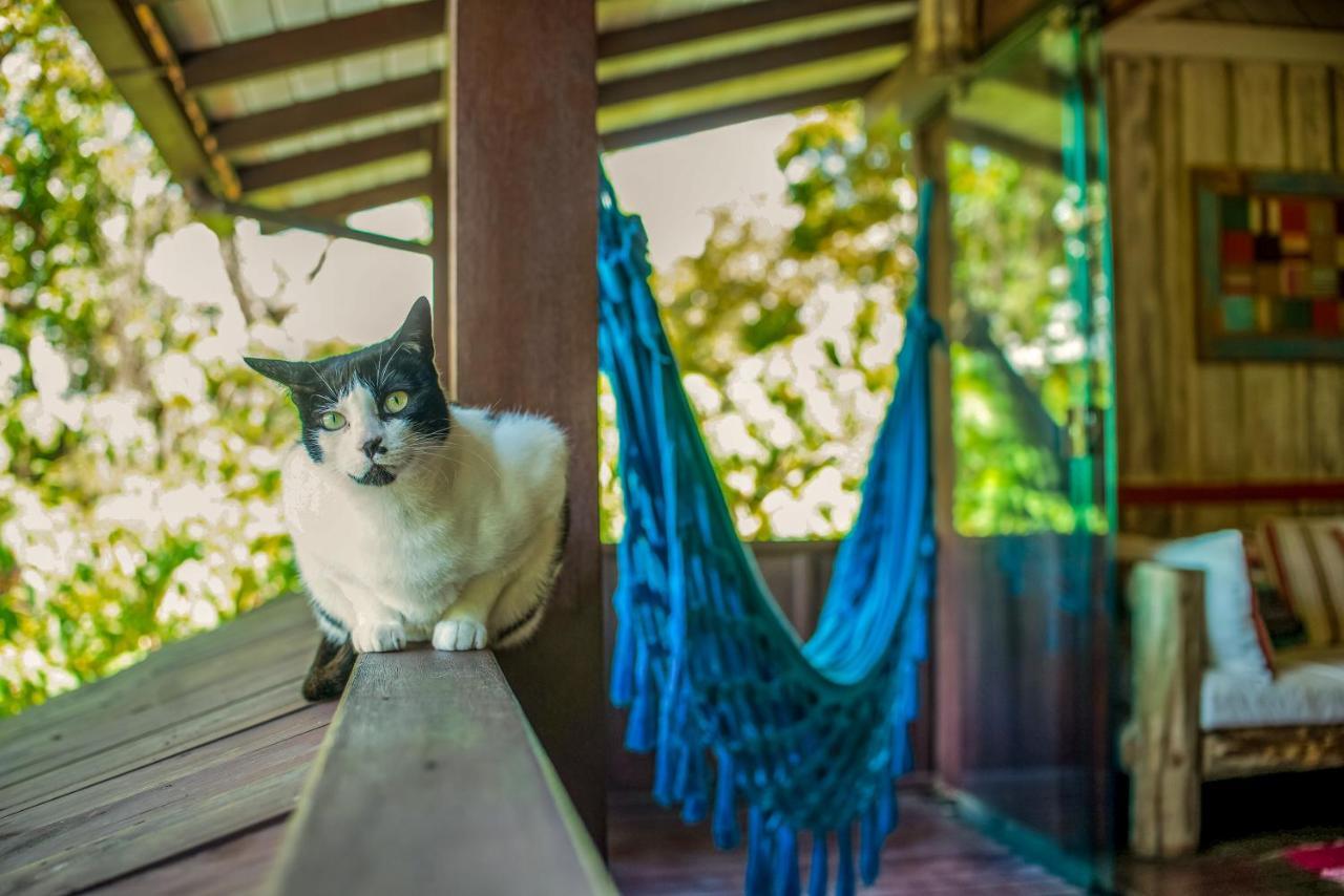 Morada Da Praia Do Rosa Pousada Ngoại thất bức ảnh